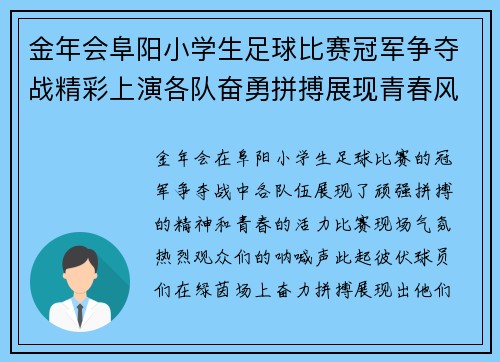 金年会阜阳小学生足球比赛冠军争夺战精彩上演各队奋勇拼搏展现青春风采